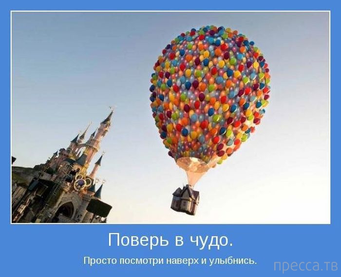 ���������� ����������, ����� 24 (40 ����)