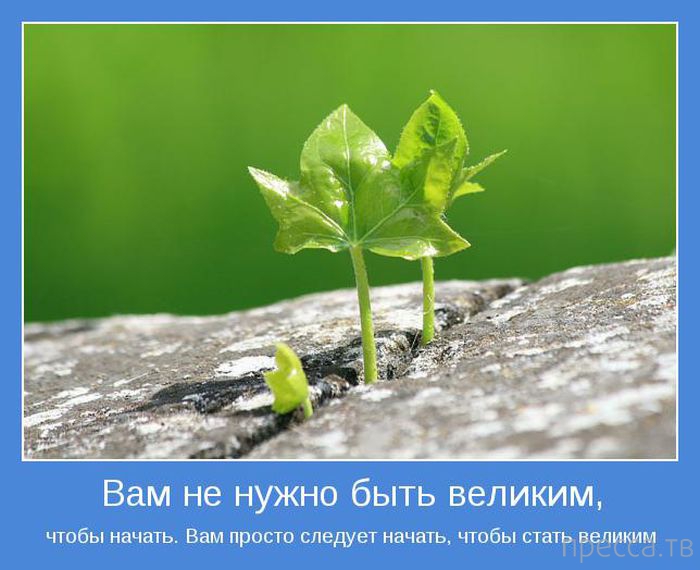 ���������� ����������, ����� 24 (40 ����)