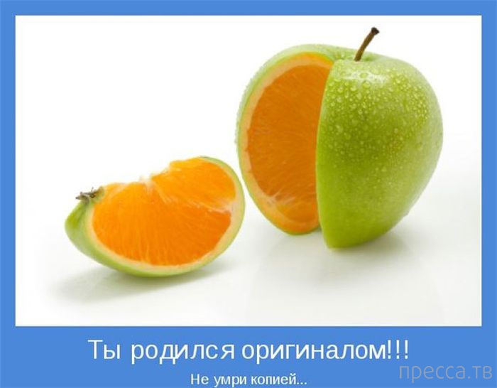 ���������� ����������, ����� 24 (40 ����)