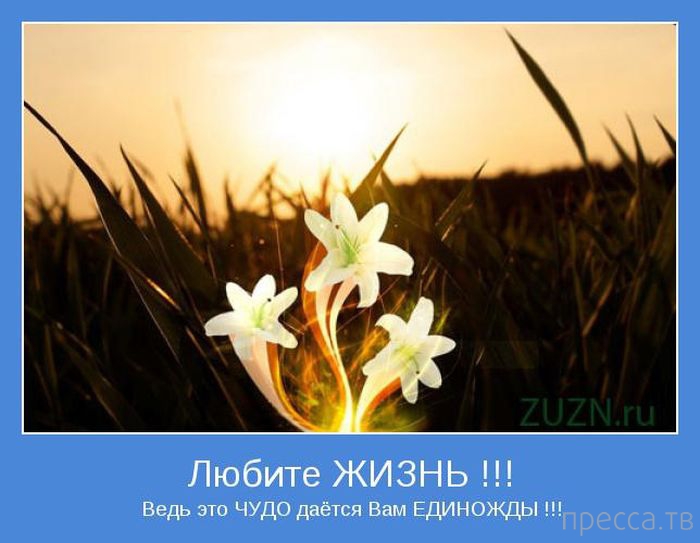 ���������� ����������, ����� 24 (40 ����)