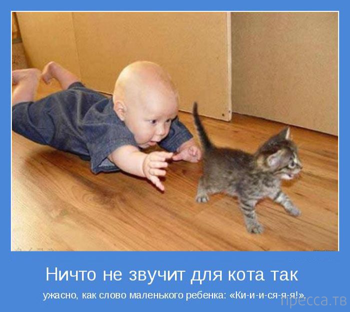 ���������� ����������, ����� 24 (40 ����)