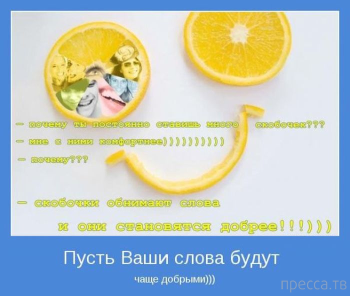 ���������� ����������, ����� 24 (40 ����)