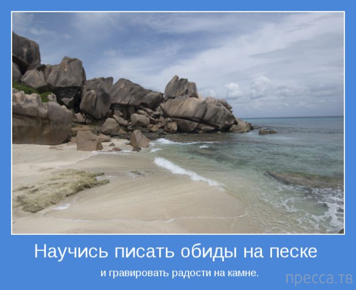 ���������� ����������, ����� 24 (40 ����)