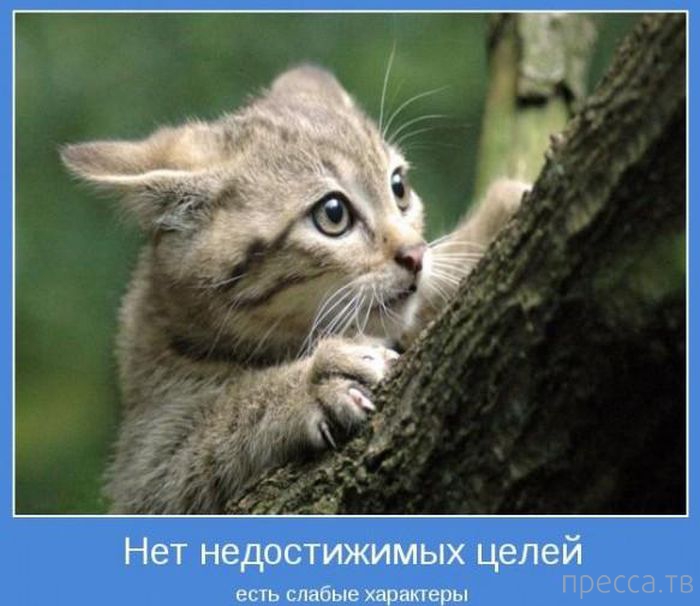 ���������� ����������, ����� 24 (40 ����)