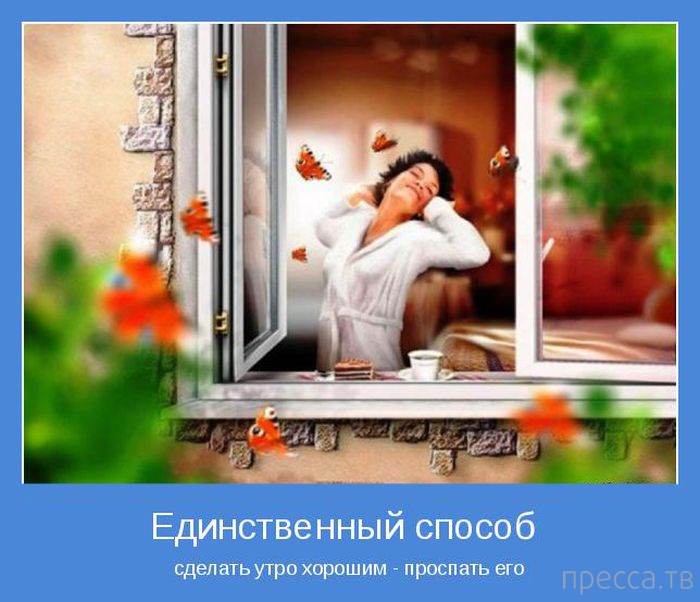 ���������� ����������, ����� 24 (40 ����)