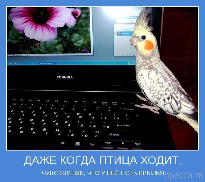 ���������� ����������, ����� 24 (40 ����)