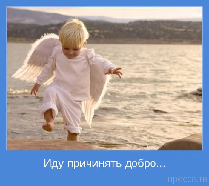 ���������� ����������, ����� 24 (40 ����)