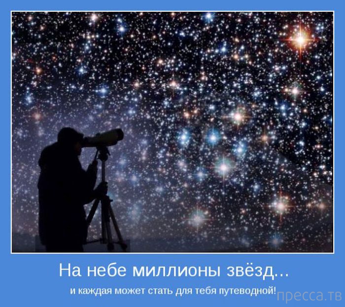 ���������� ����������, ����� 24 (40 ����)