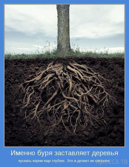 ���������� ����������, ����� 24 (40 ����)