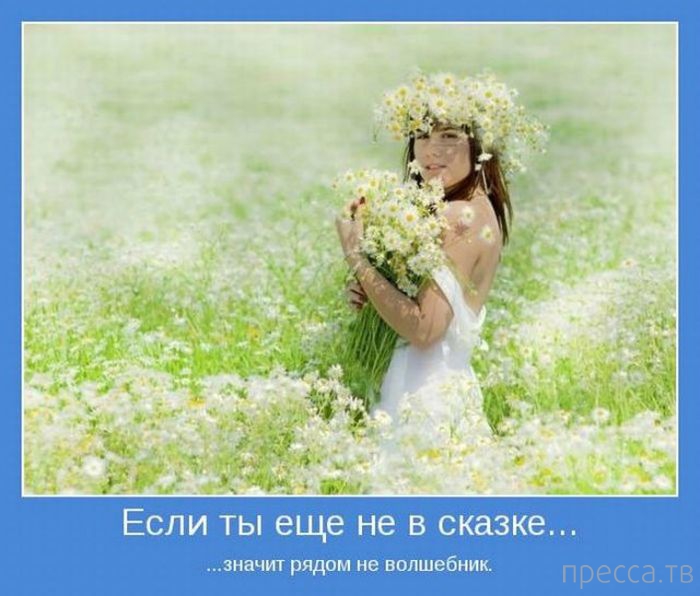 ���������� ����������, ����� 24 (40 ����)