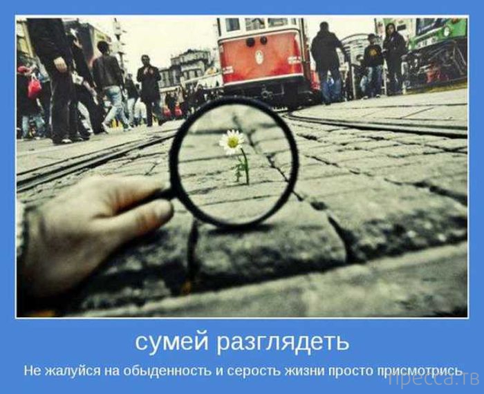 ���������� ����������, ����� 24 (40 ����)