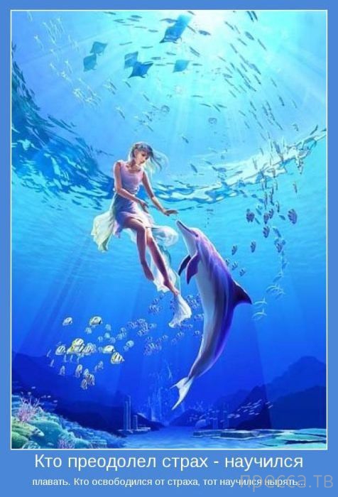 ���������� ����������, ����� 24 (40 ����)