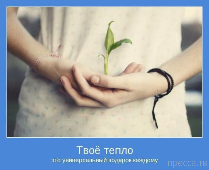 ���������� ����������, ����� 24 (40 ����)