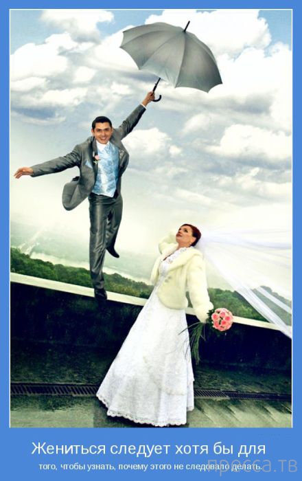 ���������� ����������, ����� 24 (40 ����)