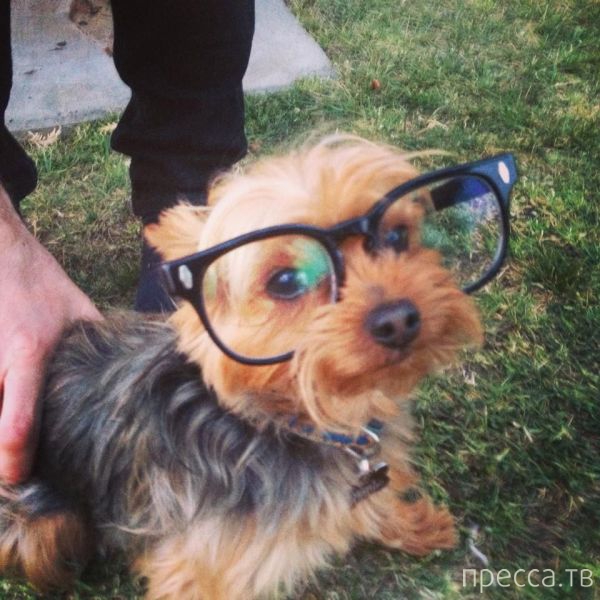 ����� �������� - �������� ��������, ����� 12 (44 ����)