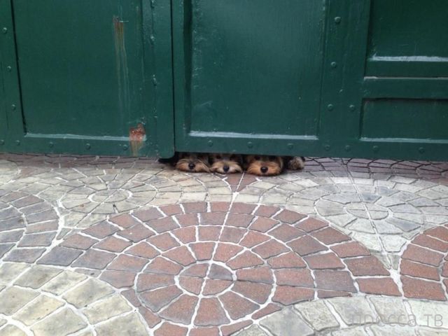 ����� �������� - �������� ��������, ����� 12 (44 ����)