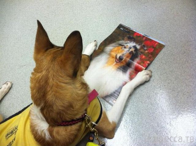 ����� �������� - �������� ��������, ����� 12 (44 ����)