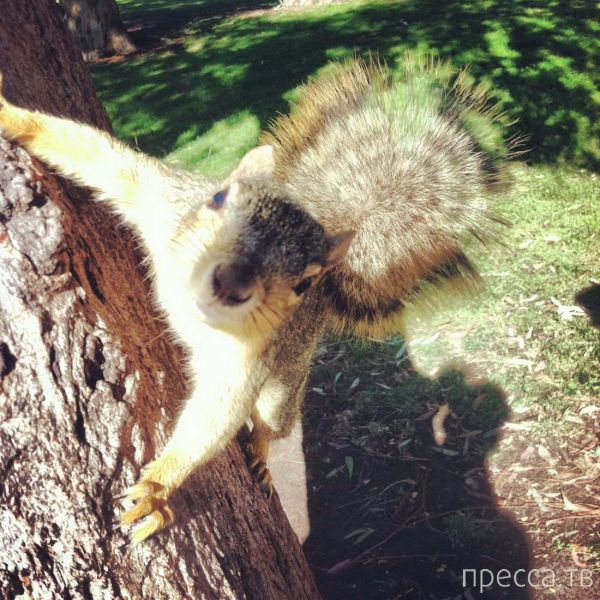 ����� �������� - �������� ��������, ����� 12 (44 ����)