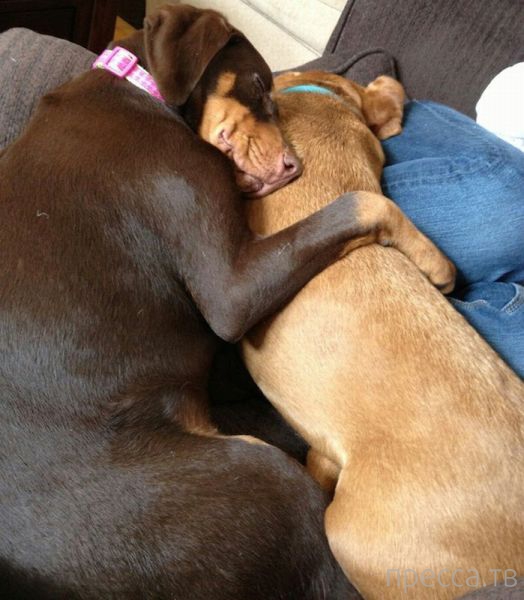 ����� �������� - �������� ��������, ����� 12 (44 ����)