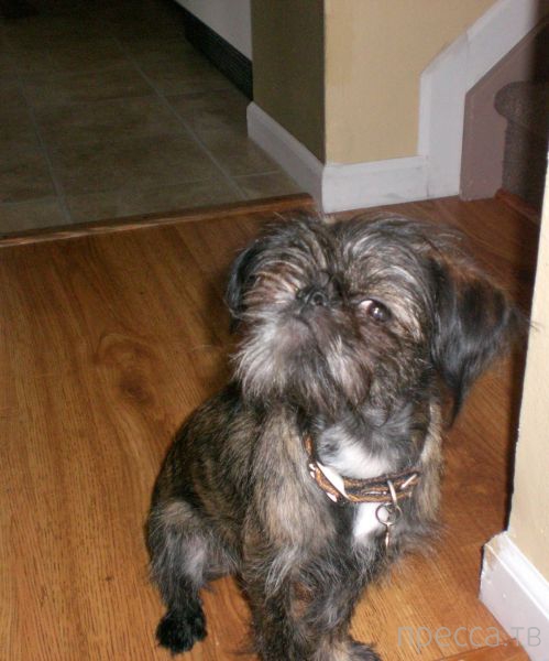 ����� �������� - �������� ��������, ����� 12 (44 ����)