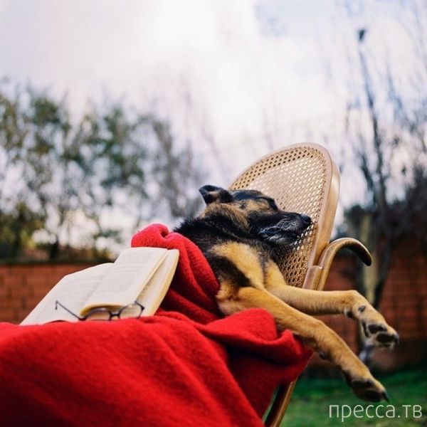 ����� �������� - �������� ��������, ����� 12 (44 ����)