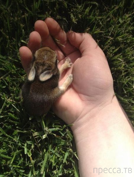 ����� �������� - �������� ��������, ����� 13 (48 ����)