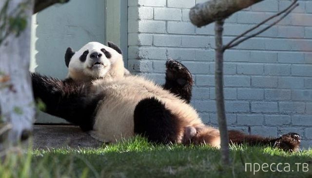 ����� �������� - �������� ��������, ����� 13 (48 ����)