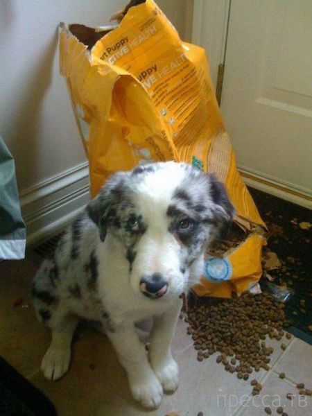 ����� �������� - �������� ��������, ����� 13 (48 ����)