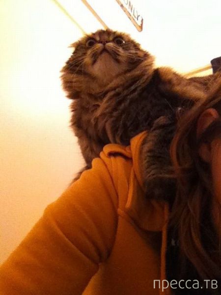 ����� �������� - �������� ��������, ����� 13 (48 ����)