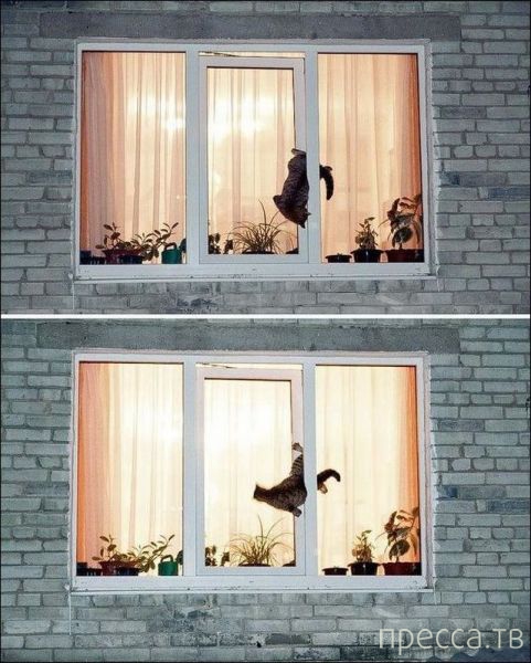 ����� �������� - �������� ��������, ����� 13 (48 ����)