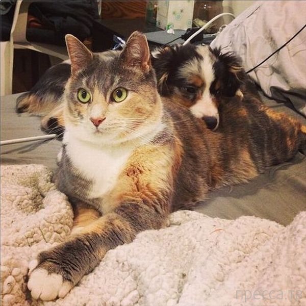 ����� �������� - �������� ��������, ����� 13 (48 ����)