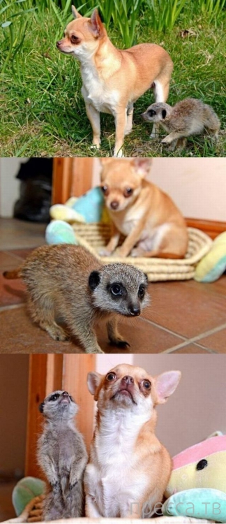 ����� �������� - �������� ��������, ����� 13 (48 ����)