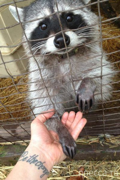 ����� �������� - �������� ��������, ����� 13 (48 ����)