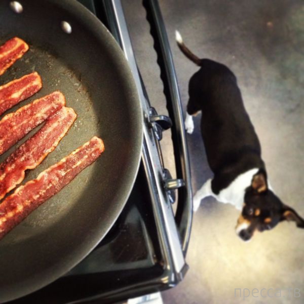 ����� �������� - �������� ��������, ����� 13 (48 ����)