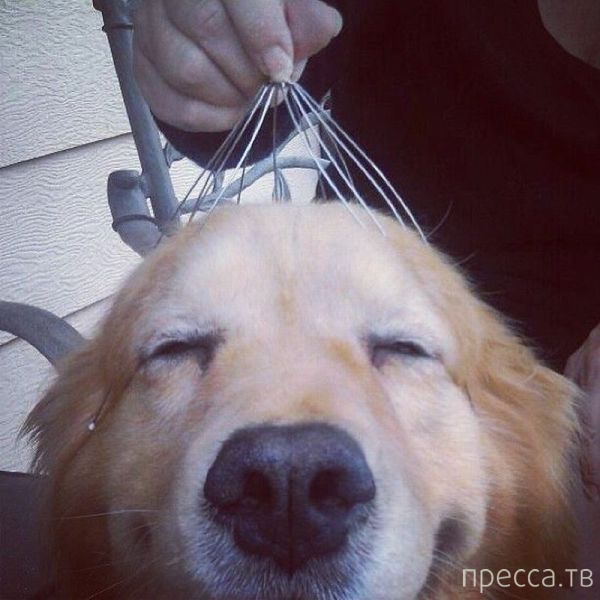 ����� �������� - �������� ��������, ����� 13 (48 ����)