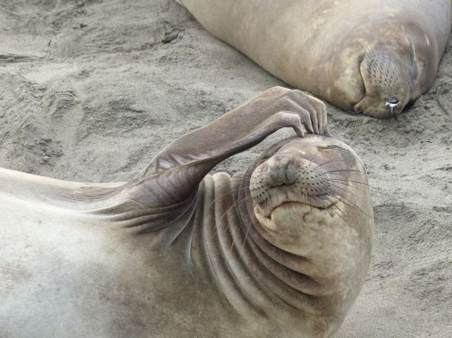 ����� �������� - �������� ��������, ����� 14 (52 ����)