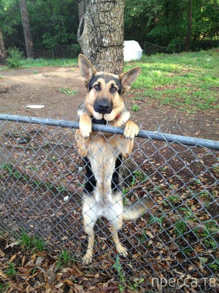 ����� �������� - �������� ��������, ����� 14 (52 ����)