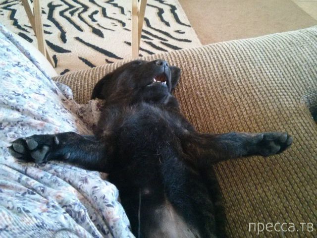 ����� �������� - �������� ��������, ����� 14 (52 ����)