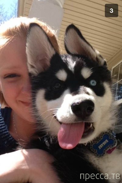 ����� �������� - �������� ��������, ����� 14 (52 ����)