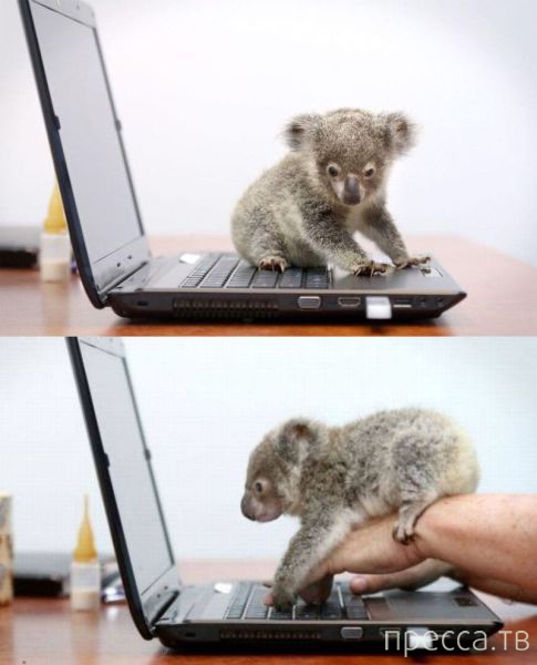 ����� �������� - �������� ��������, ����� 15 (46 ����)