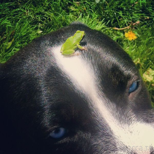 ����� �������� - �������� ��������, ����� 15 (46 ����)