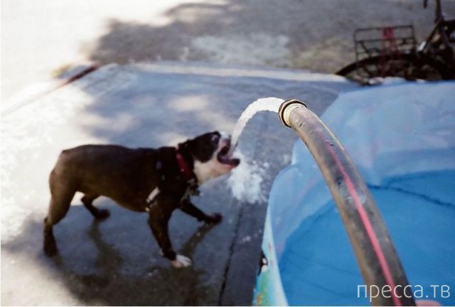 ����� �������� - �������� ��������, ����� 15 (46 ����)