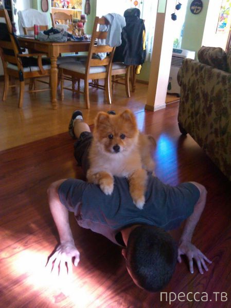 ����� �������� - �������� ��������, ����� 15 (46 ����)