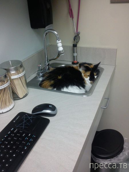 ����� �������� - �������� ��������, ����� 15 (46 ����)