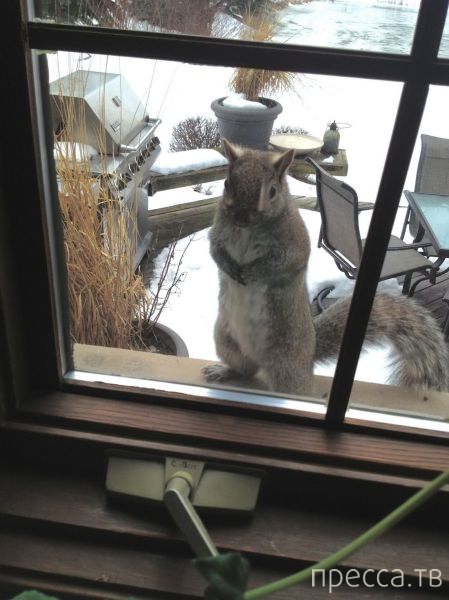 ����� �������� - �������� ��������, ����� 15 (46 ����)