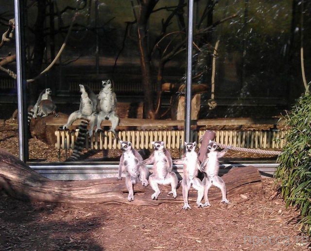 ����� �������� - �������� ��������, ����� 15 (46 ����)