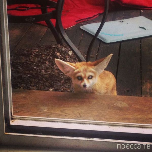 ����� �������� - �������� ��������, ����� 15 (46 ����)