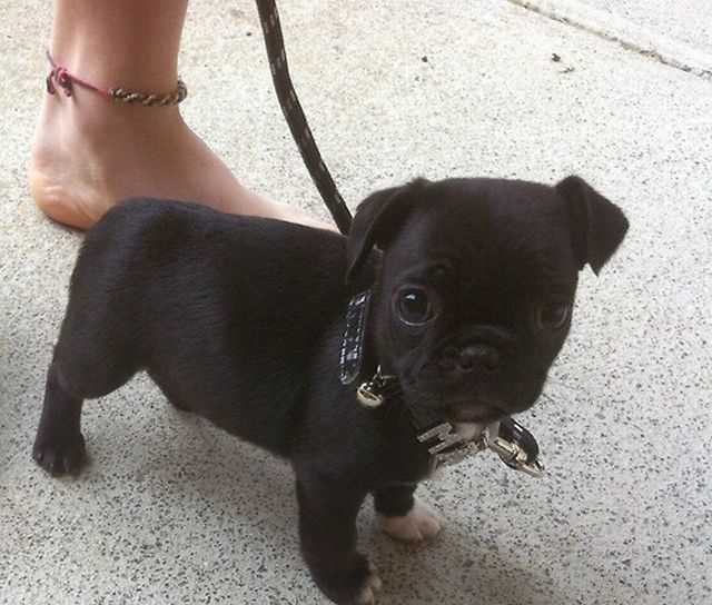 ����� �������� - �������� ��������, ����� 16 (43 ����)