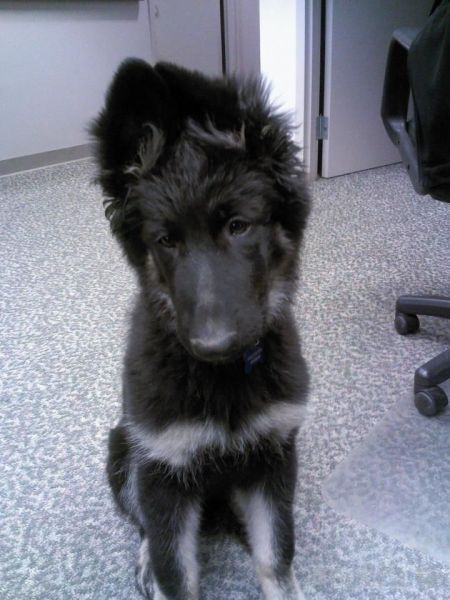 ����� �������� - �������� ��������, ����� 16 (43 ����)