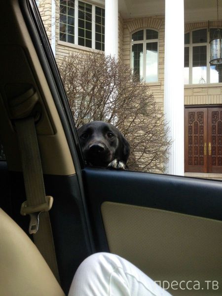 ����� �������� - �������� ��������, ����� 16 (43 ����)